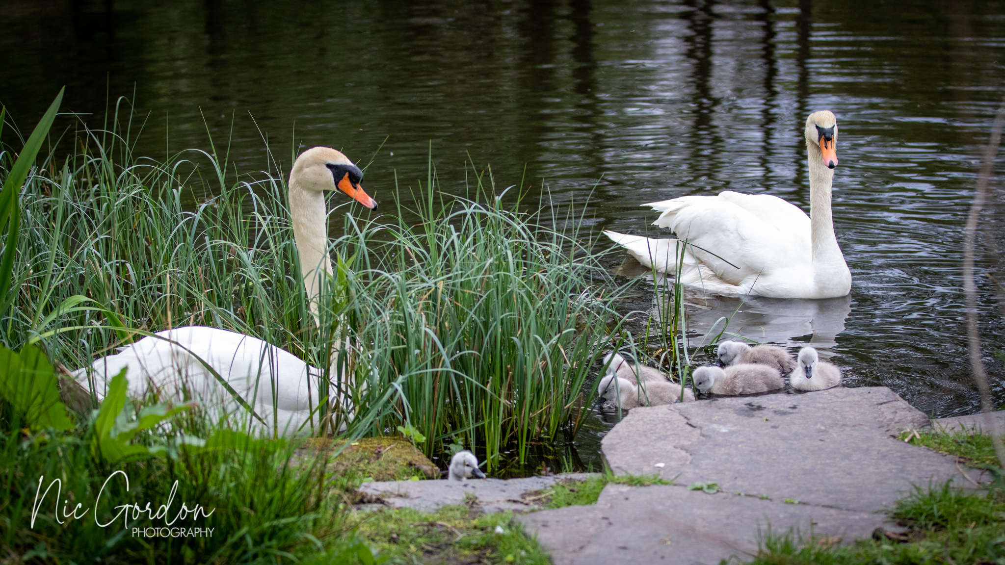 Glasgow GIAB Open 2022 2183