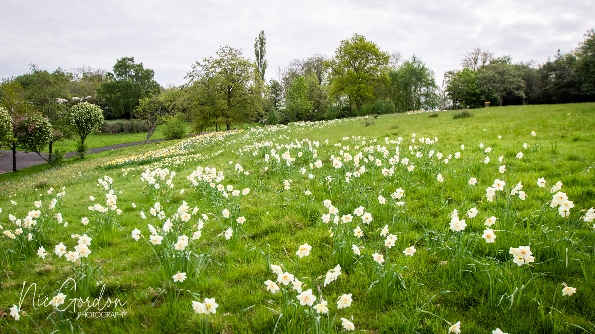 Glasgow GIAB Open 2022 2518